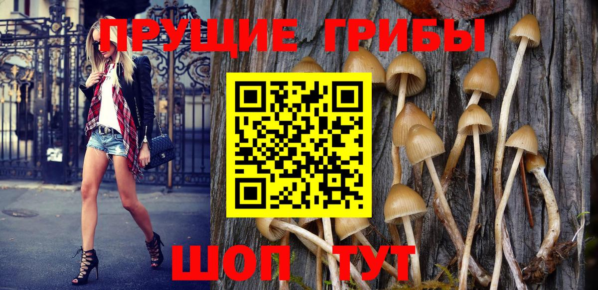Омск  Галлюциногенные грибы Psilocybine cubensis  Вход с VPN 